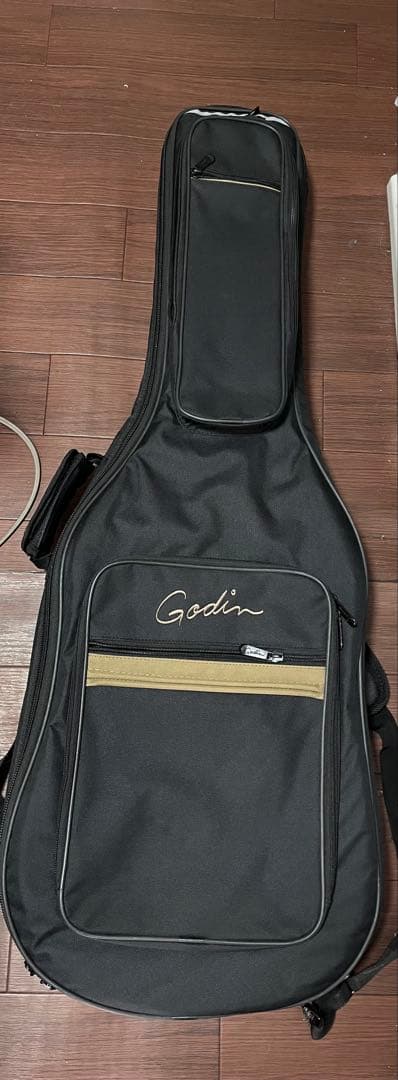 美品 Godin(ゴダン) Multiac Nylon SA(エレガット)
