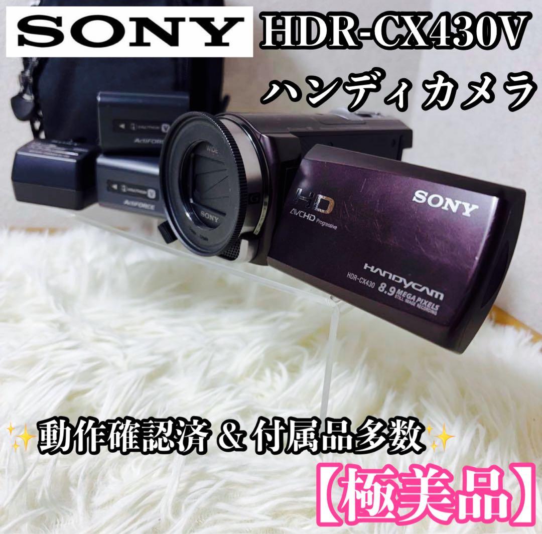 【極美品】SONY HDR-CX430V ハンディカメラ 付属品多数