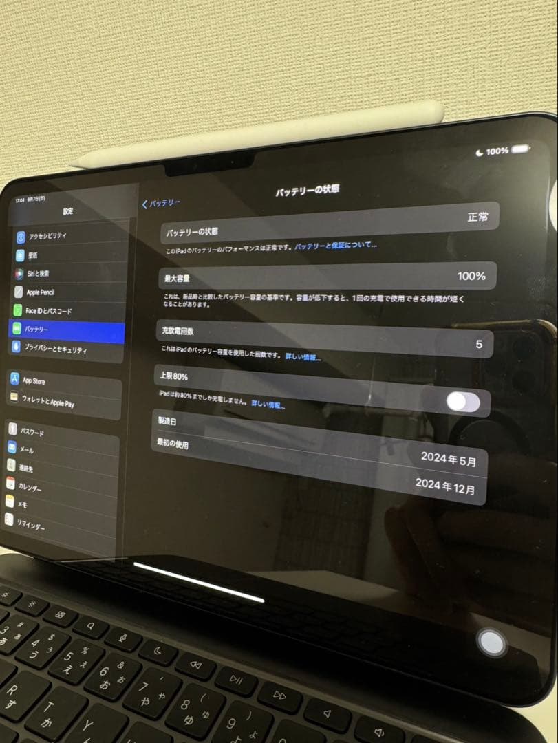白鳥　iPad Pro M4 11インチ　256GB 本体のみ