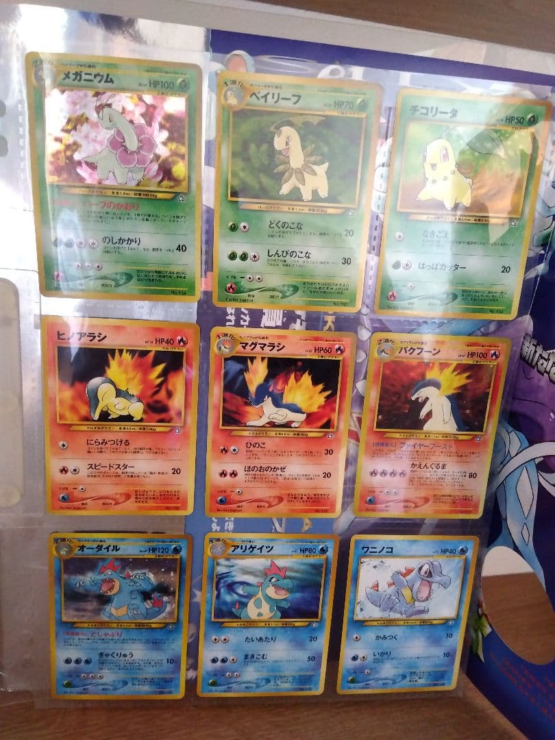 【旧裏/廃盤】ポケカ neo 金銀発売記念 プレミアムファイル Pokémon