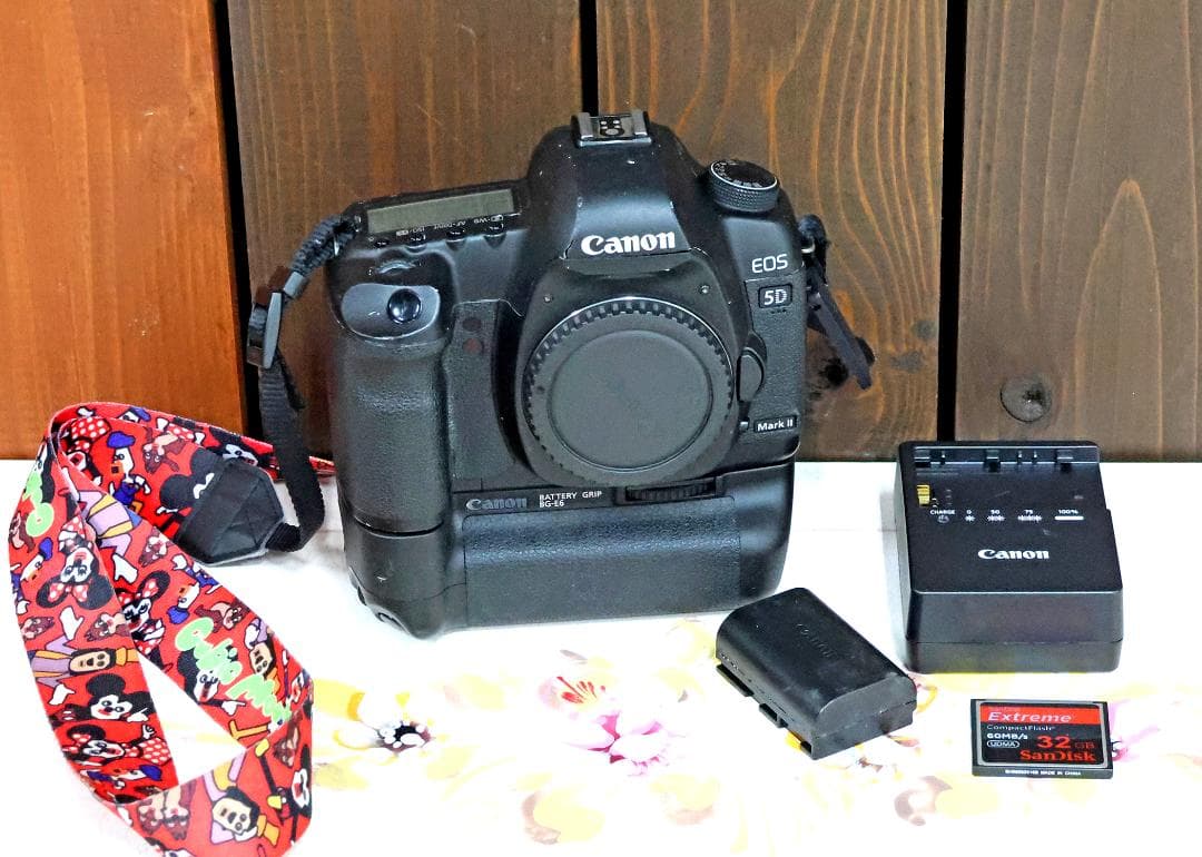 Canon EOS 5D Mark II 本体 ＋バッテリーグリップ＋その他
