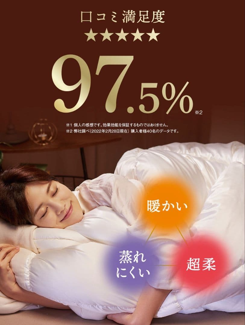 ✩✩✩最終値下げ✩✩✩【新品未使用】殿様ふとん　セミダブル 専用掛カバーセット