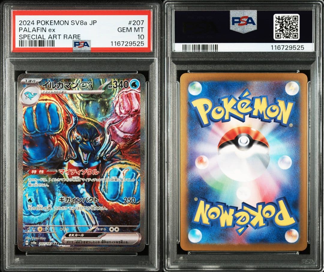 イルカマンex sar psa10 最新ケース