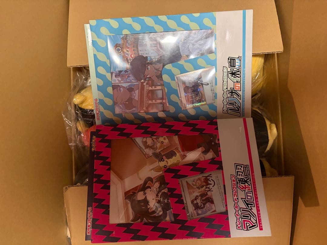 未開封 マリィの練習　ルリナの休息