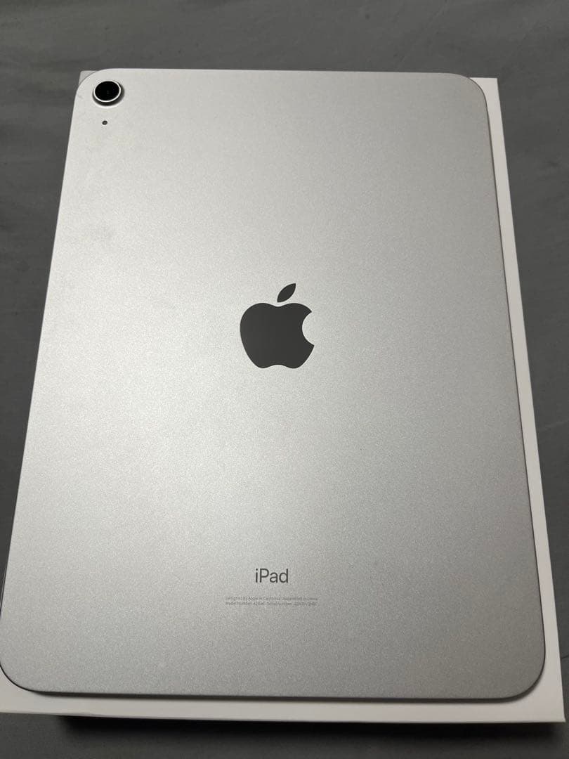 Apple iPad 第10世代　64GB シルバー 本体 充電器付き