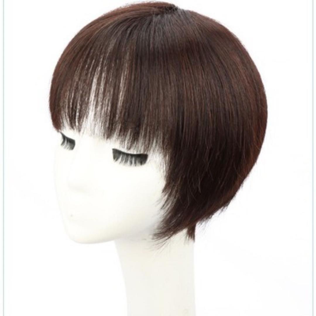 ウィッグ 人毛100% 簡単 イメチェン アレンジOK ショートヘア ブラック
