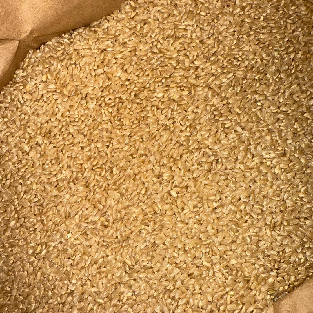 令和6年産 にじのきらめき 茨城県 30キロ