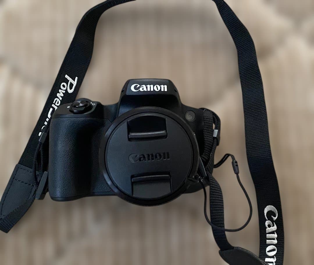 １月限定お試し値下げ!キャノン PowerShot SX70HS デジタルカメラ