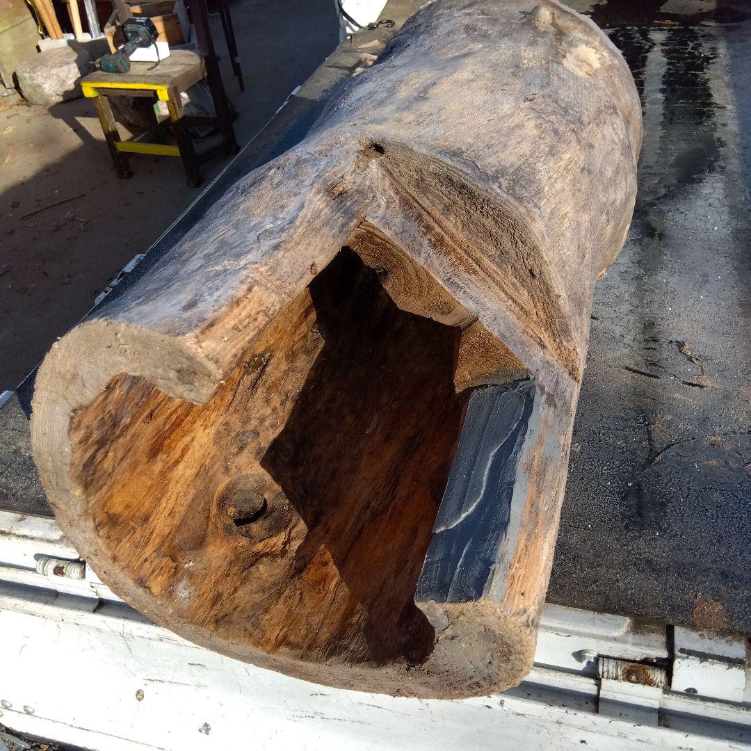 自然な木目の丸太 樹洞 丸洞 桐老木 昆虫飼育箱