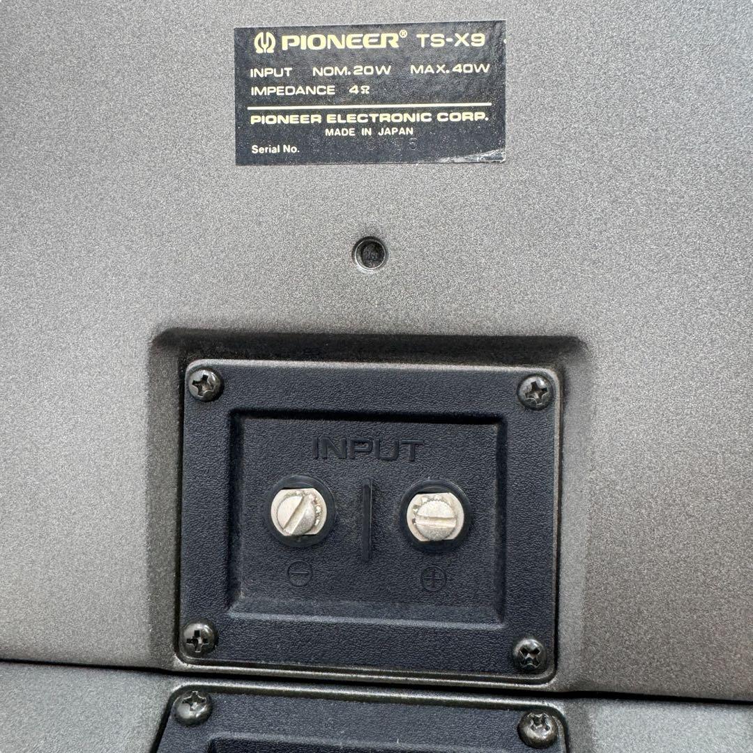 パイオニア TS-X9 ペケナイン 旧車 リアスピーカー ロンサムカーボーイ