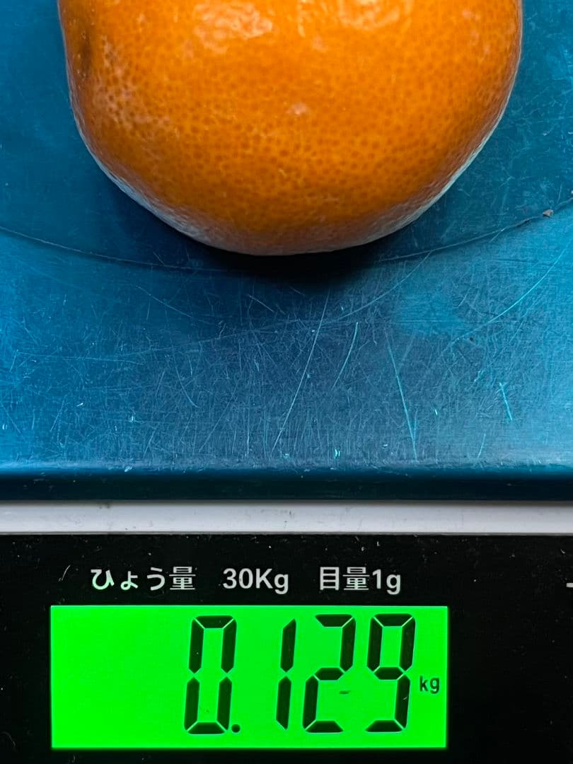 日本一「的兵みかん」赤秀品L 5000g