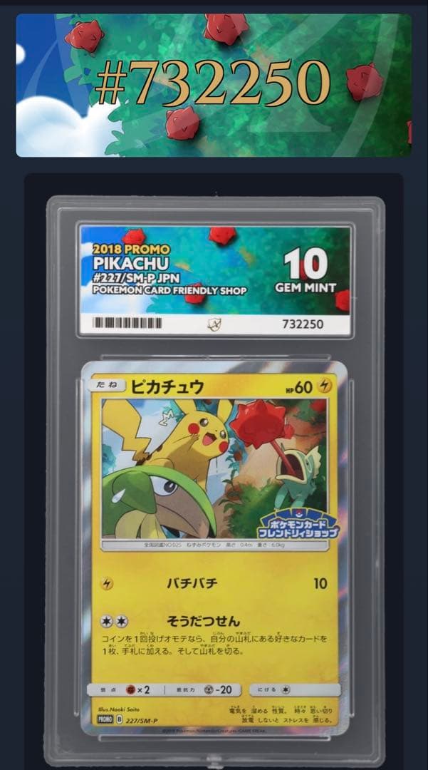 ACE10 ピカチュウ フレンドリィショップ プロモ 227