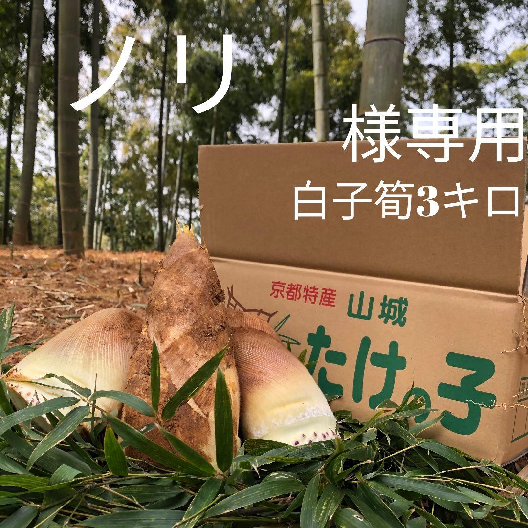 ノリ　白子筍3キロ