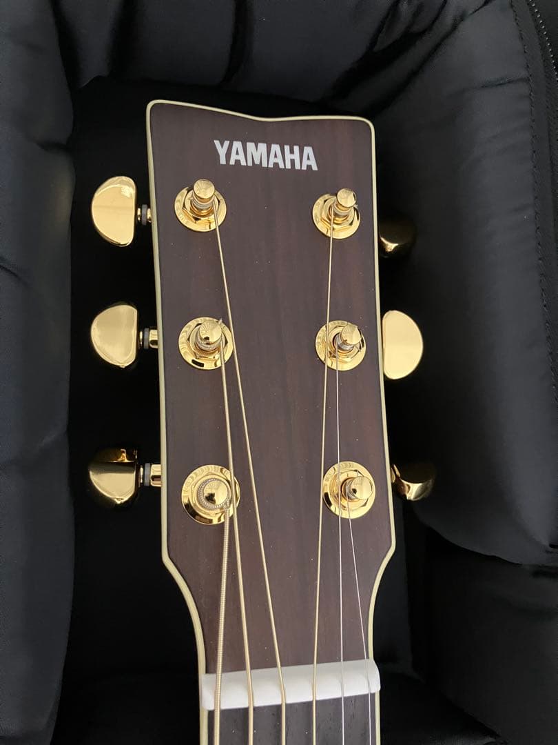 YAMAHA　LL6 ARE BS