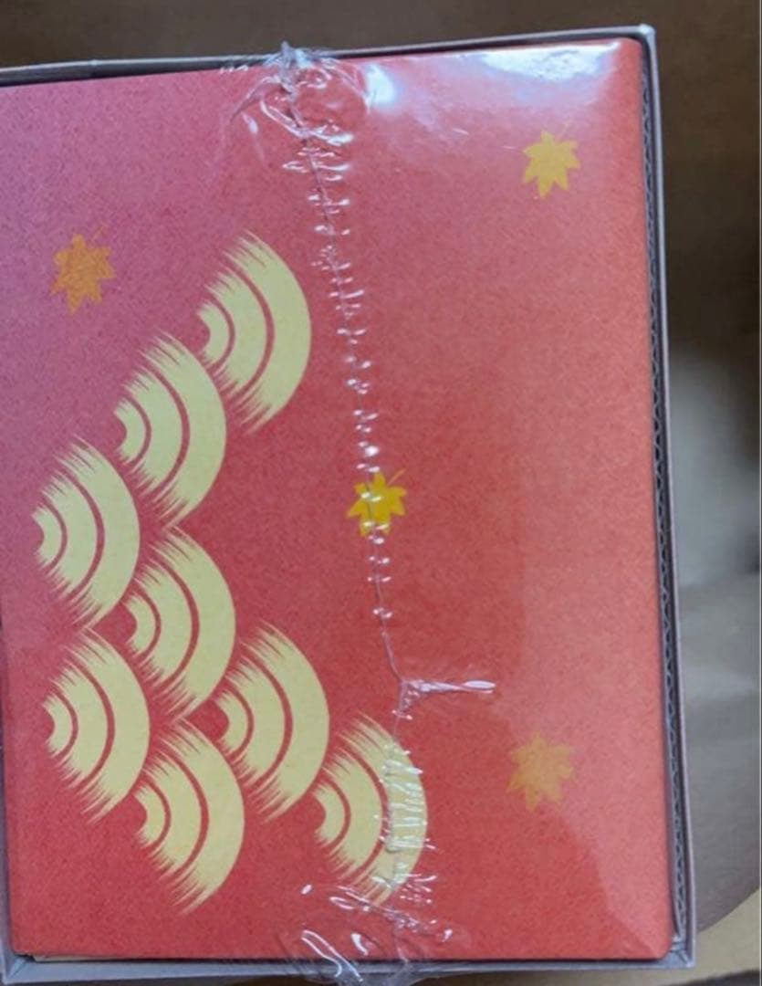 ポケモンセンターヒロシマ スペシャルBOX 新品未開封