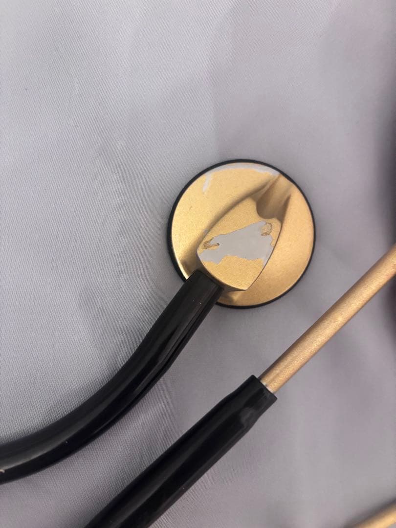 フィガロ コスプレ 衣装 通常 ウィッグ 魔法使いの約束 コミックランド