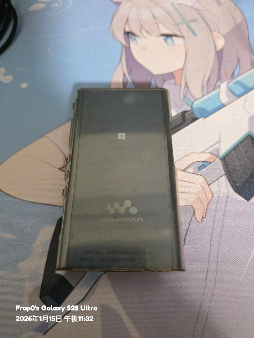 ソニー ウォークマン NW-A55 ブルー