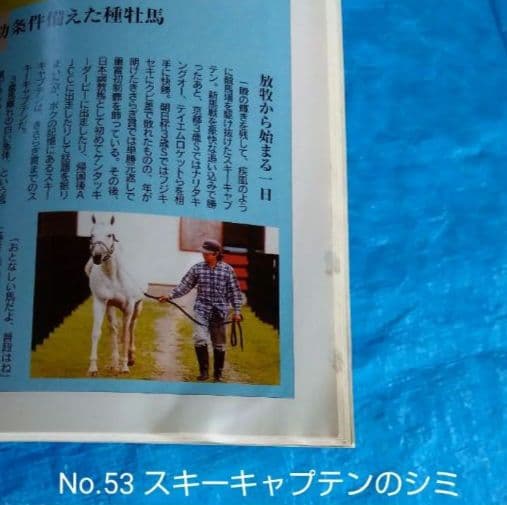 週間100名馬 Gallop 全巻100冊セット ＃ウマ娘