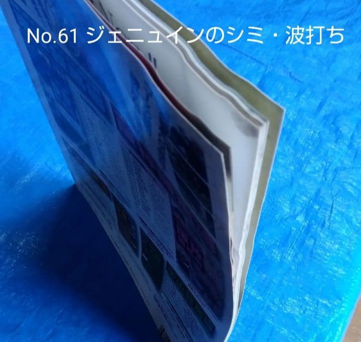 週間100名馬 Gallop 全巻100冊セット ＃ウマ娘