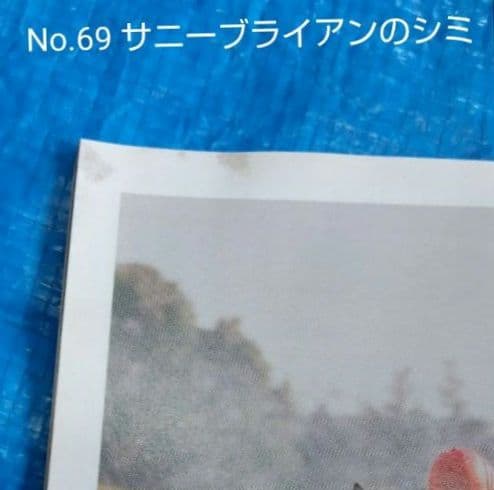 週間100名馬 Gallop 全巻100冊セット ＃ウマ娘