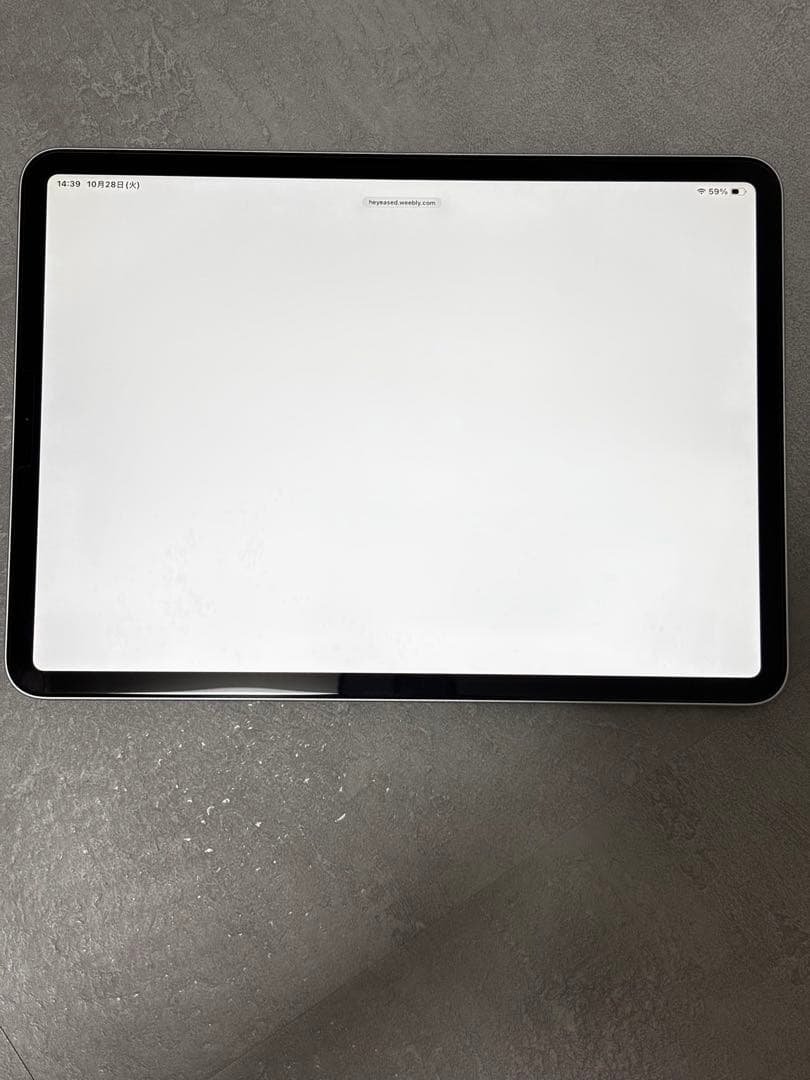 【美品】iPad pro 11インチ第一世代 シルバー 本体 おまけ付き