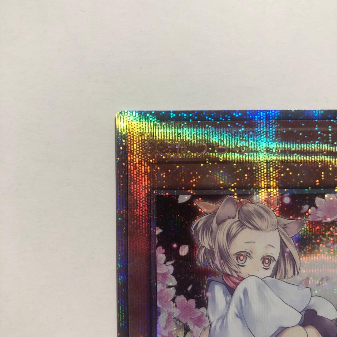 遊戯王　灰流うらら 25th クオシク 絵違い