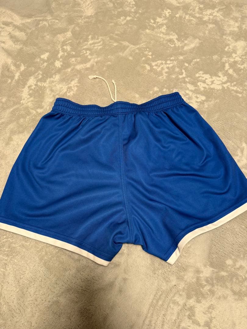 バレーボール　国体　インターハイ　大学　東亜