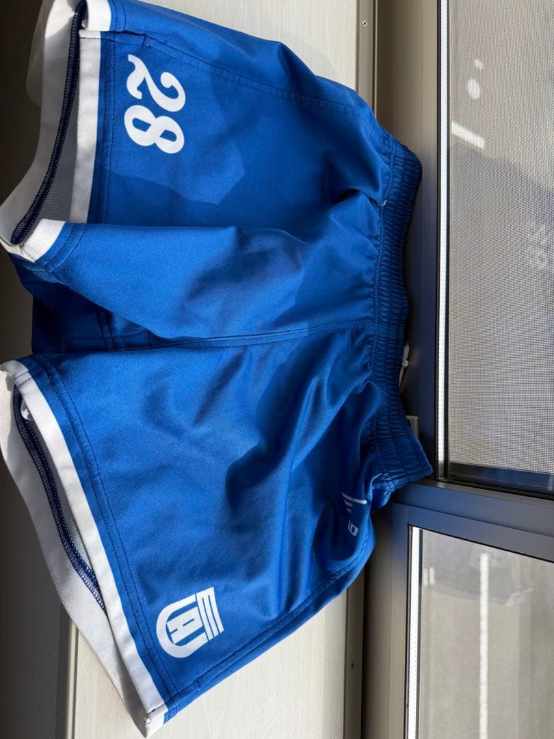 バレーボール　国体　インターハイ　大学　東亜