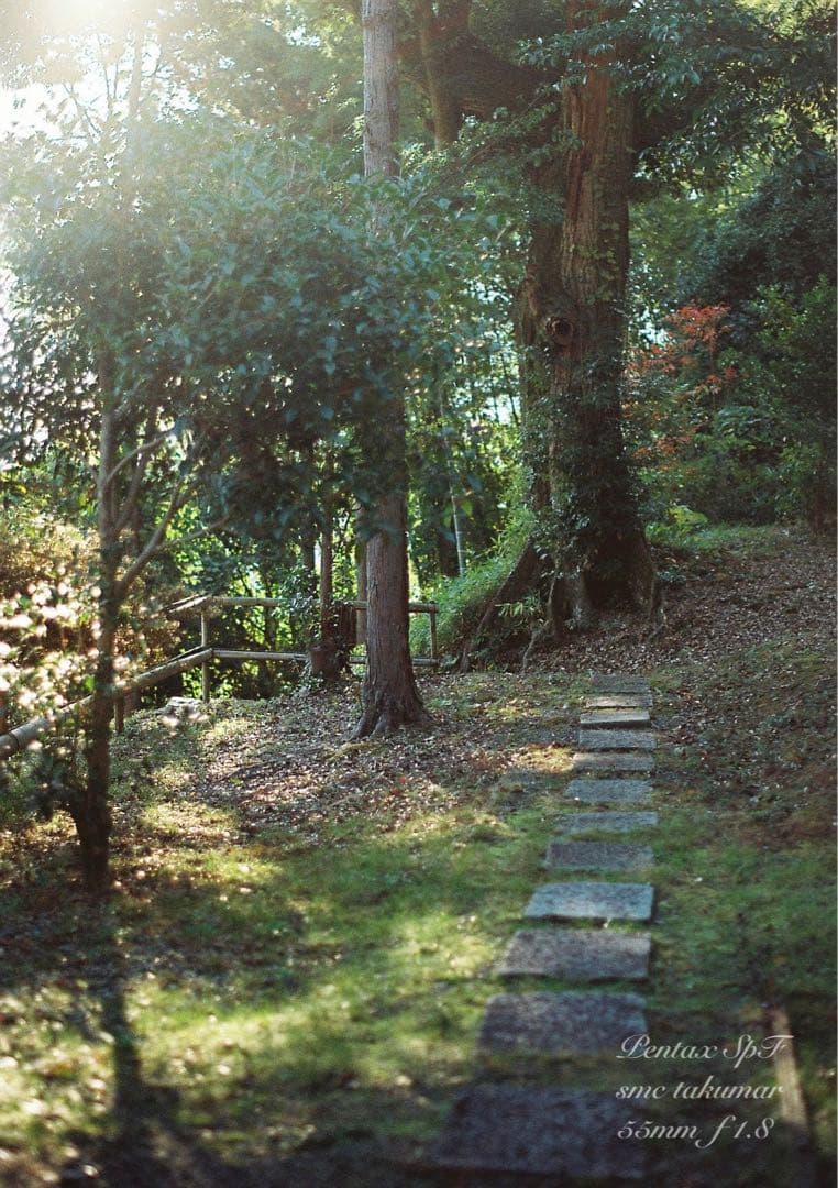 pentax spf/smcタクマー f1.8★完動品＊初期保証＊作例多数