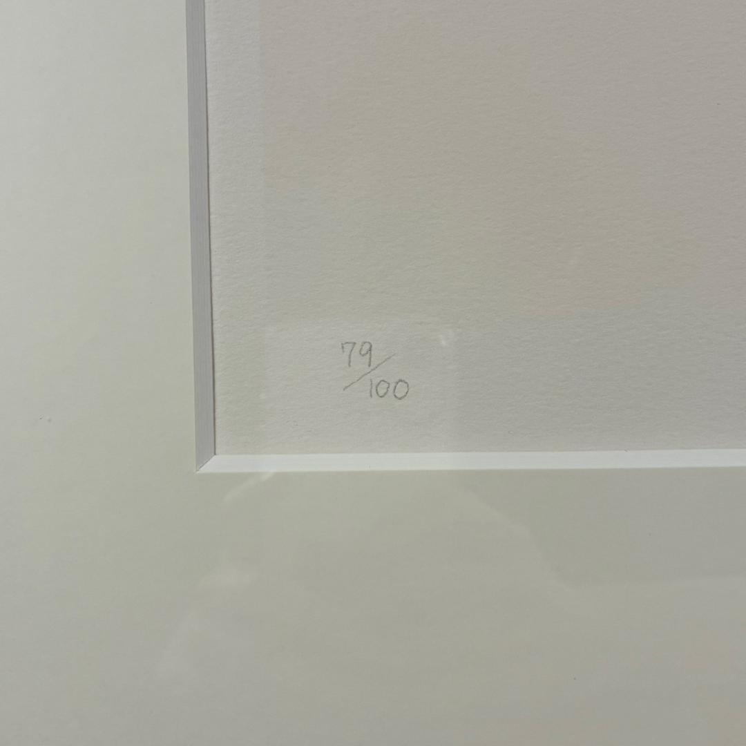 美品 天野喜孝「予感」リトグラフ 直筆サイン入 限定品 お洒落な額装 FF