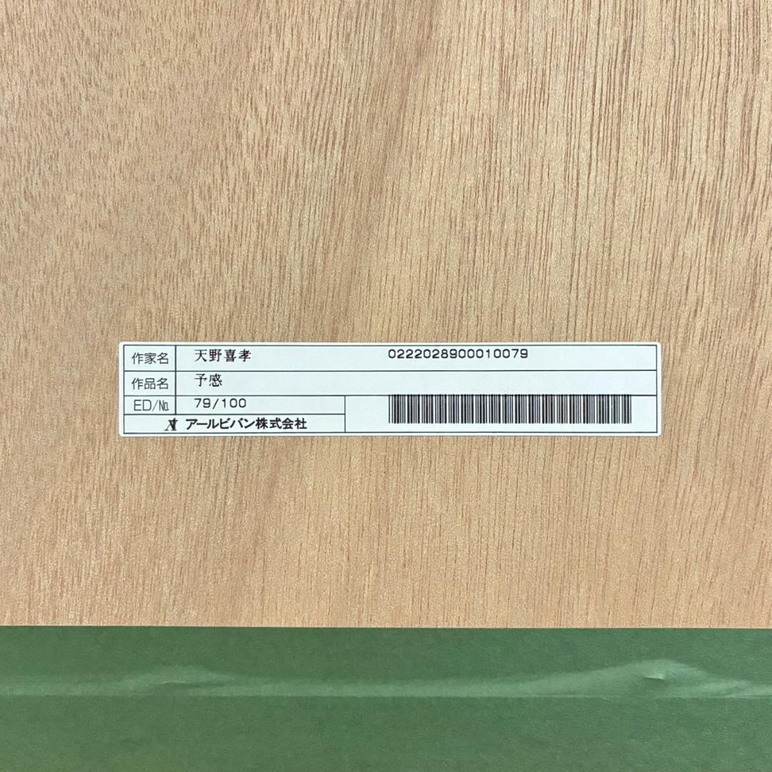 美品 天野喜孝「予感」リトグラフ 直筆サイン入 限定品 お洒落な額装 FF