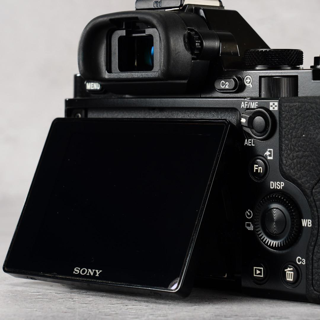 闇を光に変える魔法のカメラ★α7S★13,296回 SONY ILCE-7S