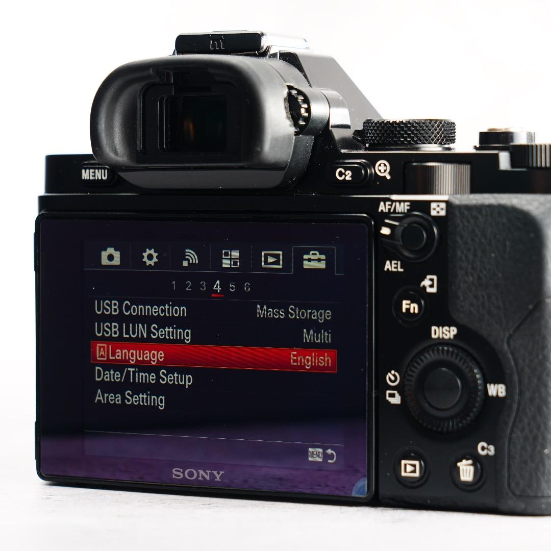 闇を光に変える魔法のカメラ★α7S★13,296回 SONY ILCE-7S