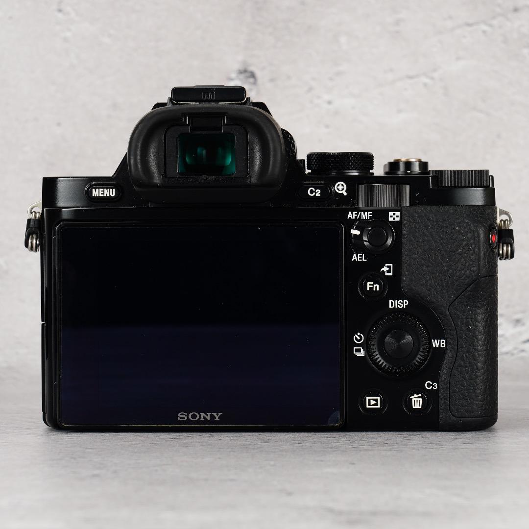 闇を光に変える魔法のカメラ★α7S★13,296回 SONY ILCE-7S