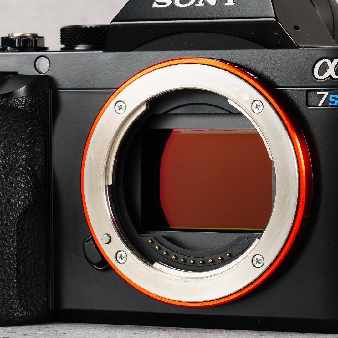闇を光に変える魔法のカメラ★α7S★13,296回 SONY ILCE-7S