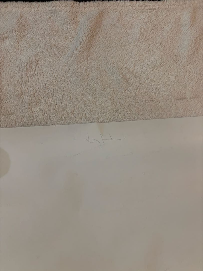 希少B1判映画ポスター　菊次郎の夏　北野武監督作品 久石讓　ビートたけし