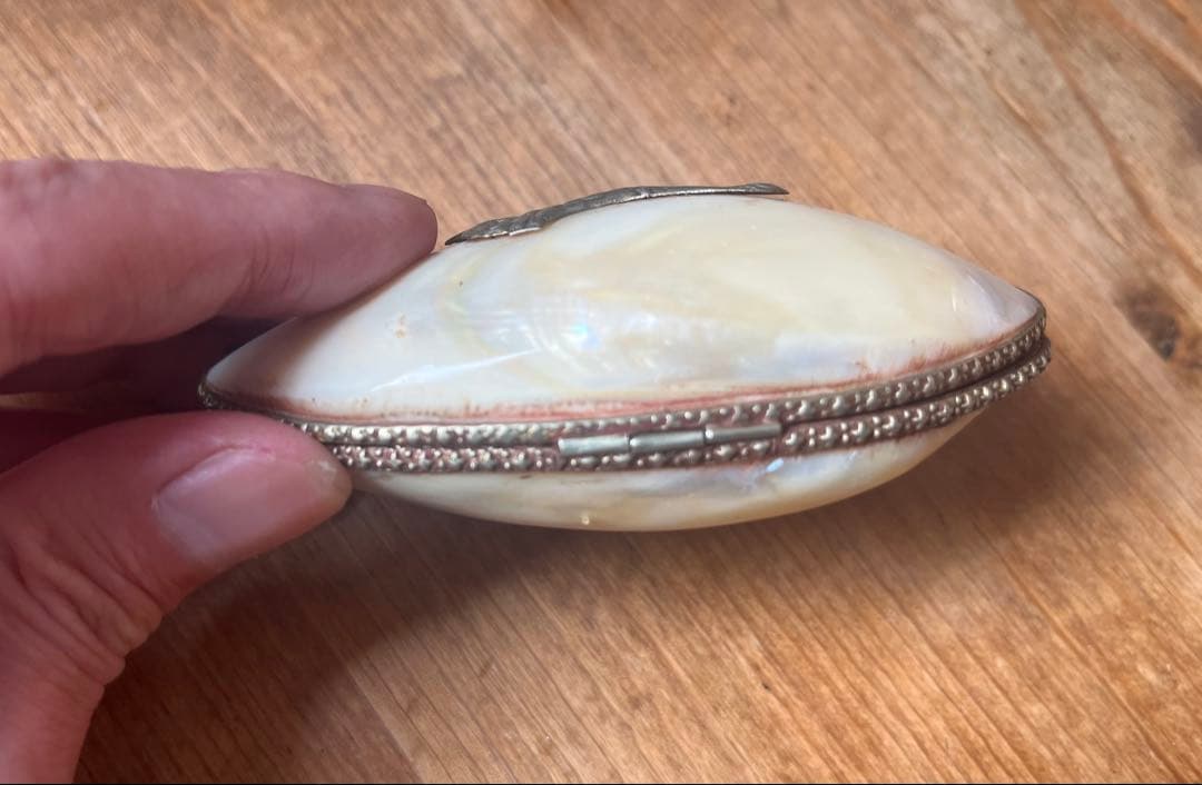 稀少　ヴィクトリアエドワード期 アンティーク マザーオブパール ポータブルケース