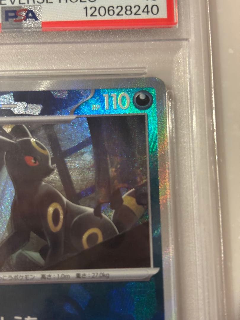 ブラッキー　マスターボールミラーPSA10