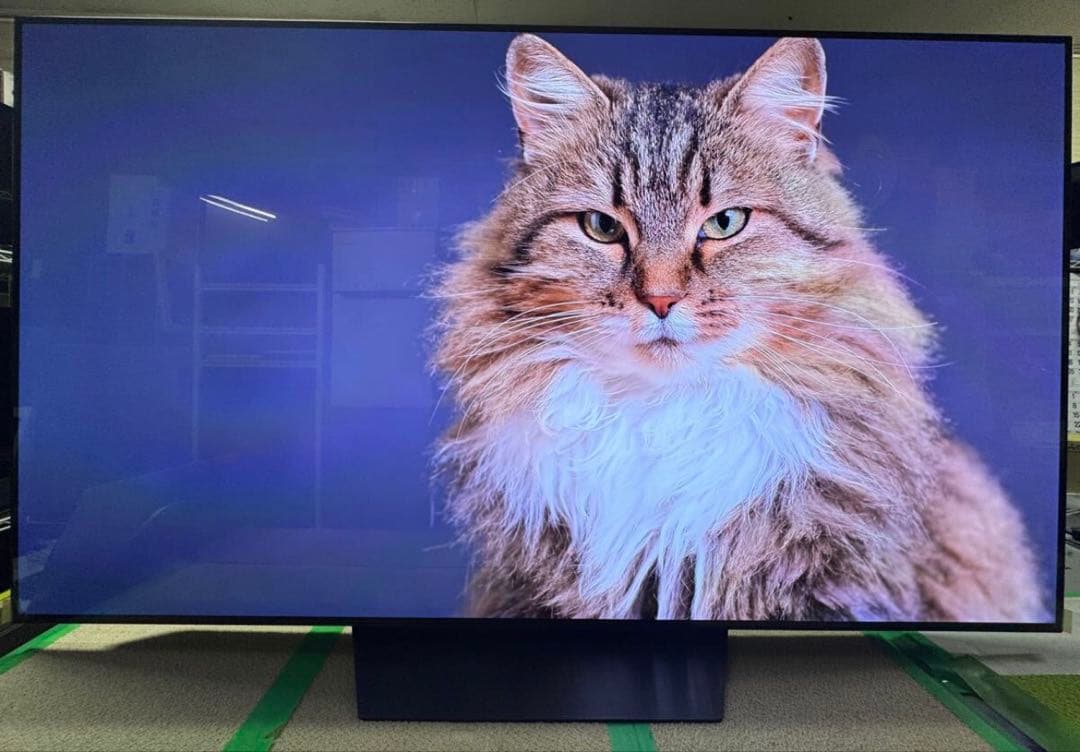 引取限定 美品LG65型4K有機ELテレビOLED65B1PJA 2022年