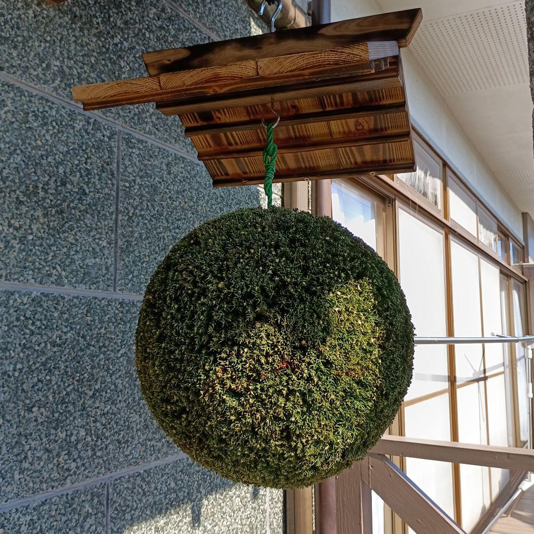 杉玉　直径約33ｃｍ 　屋根付き