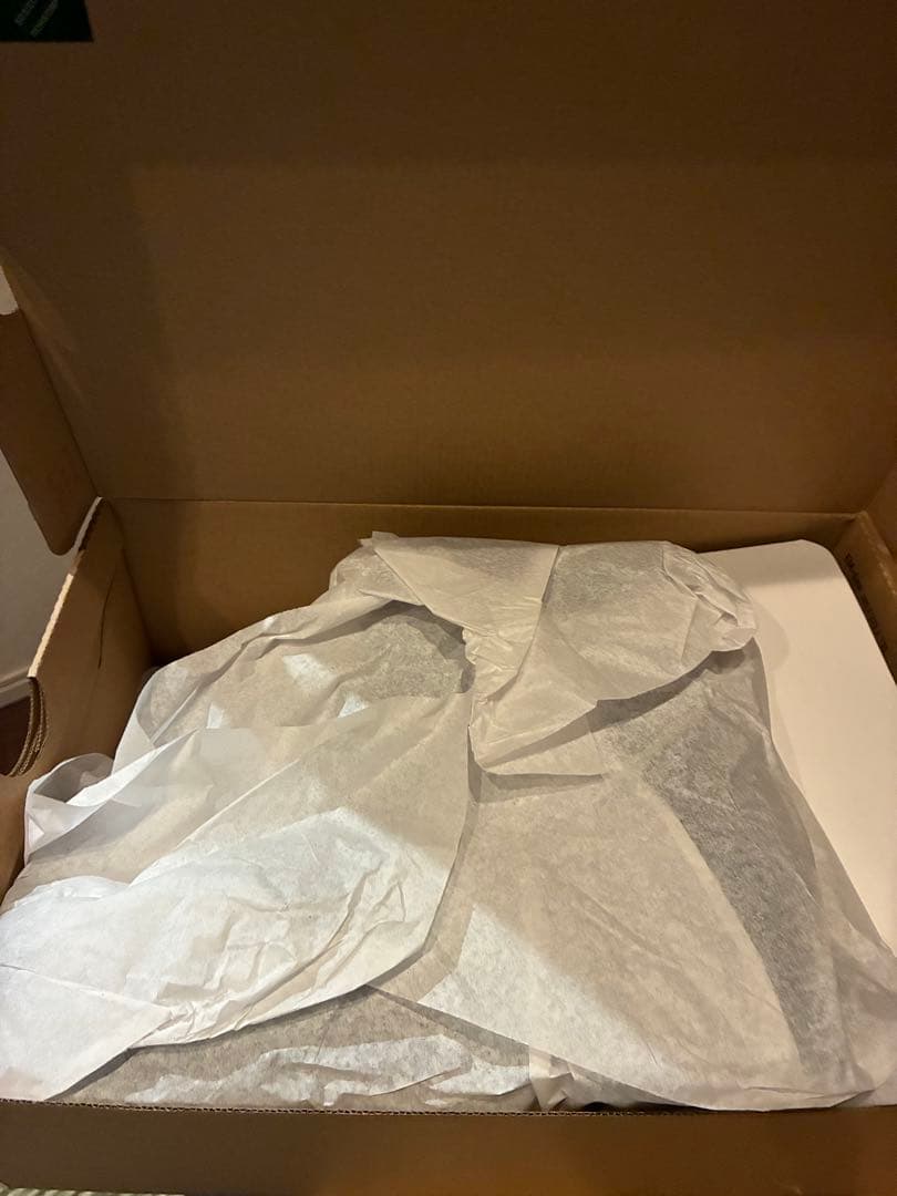 Mizuno Almighty BS29H 安全靴 27.0cm EEE