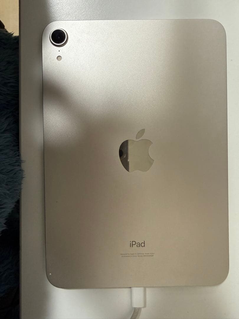 【美品】Apple iPad mini (第6世代) 256GB Wi-Fi