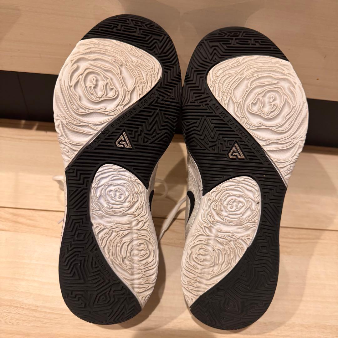 シューズ(男性用) NIKE ZOOM FREAK 1 BQ5422-101