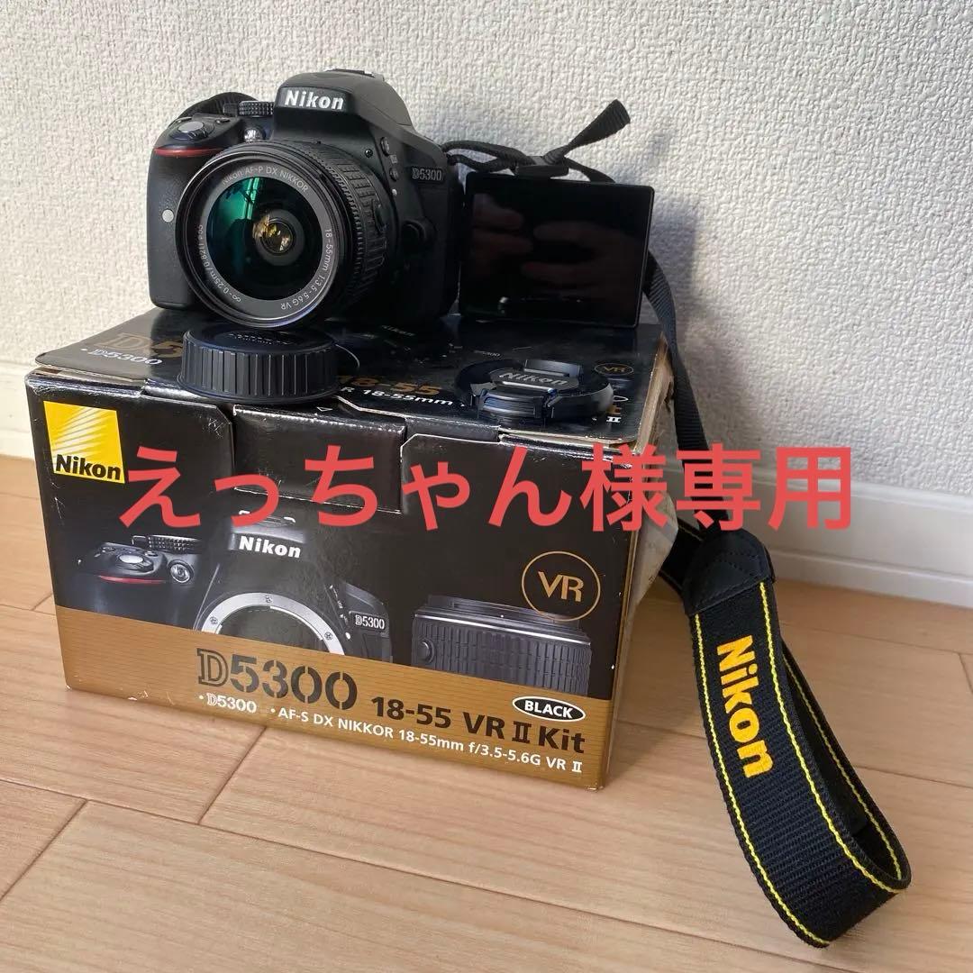 専用出品　Nikon デジタル一眼レフカメラD5300 18-55mm