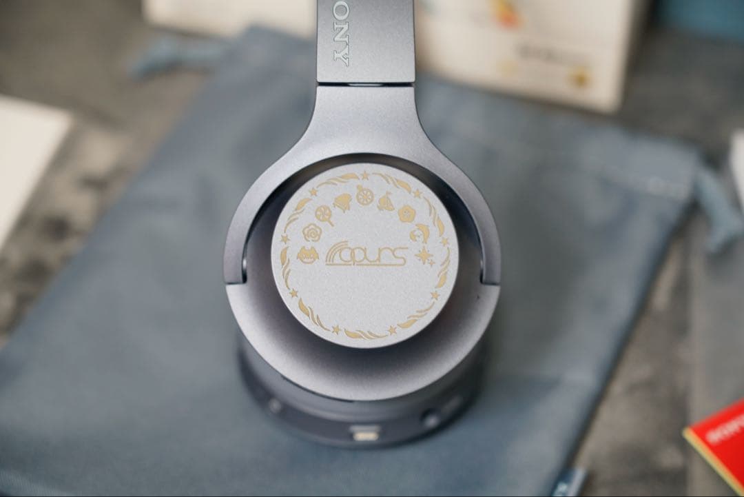 SONY h.ear on 2 Mini Wireless（WH-H800）