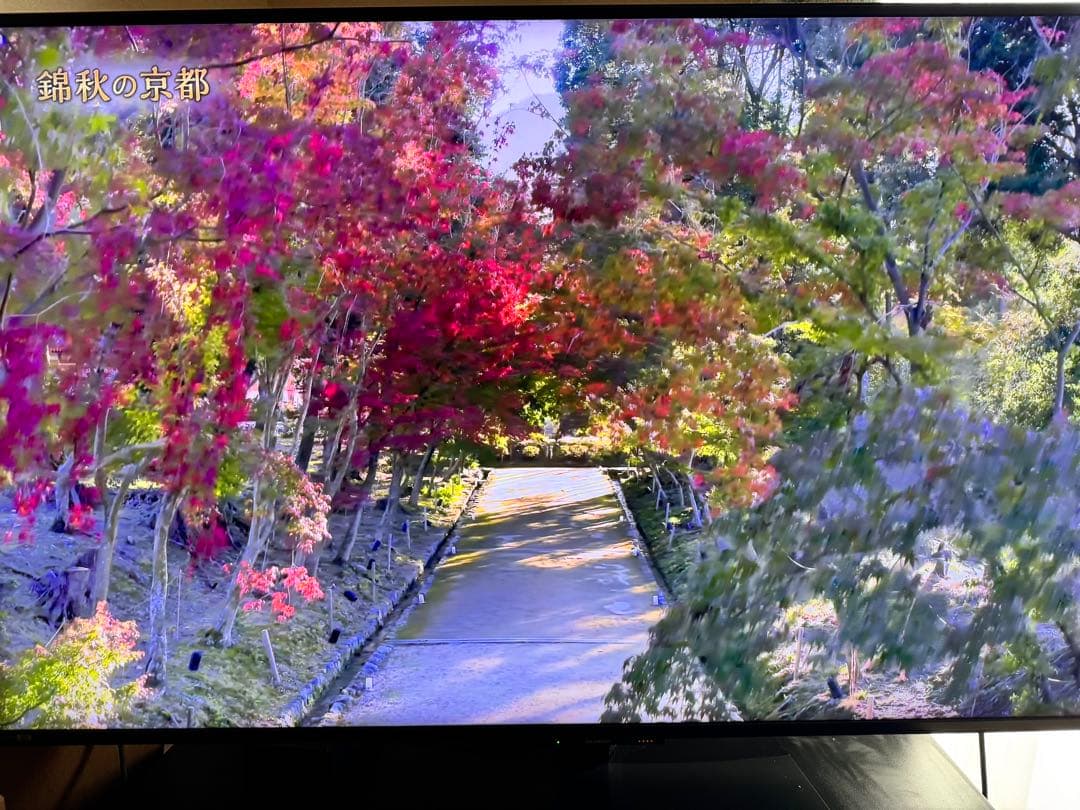 AQUOS 8K 8T-C60DW1 60V型 テレビ