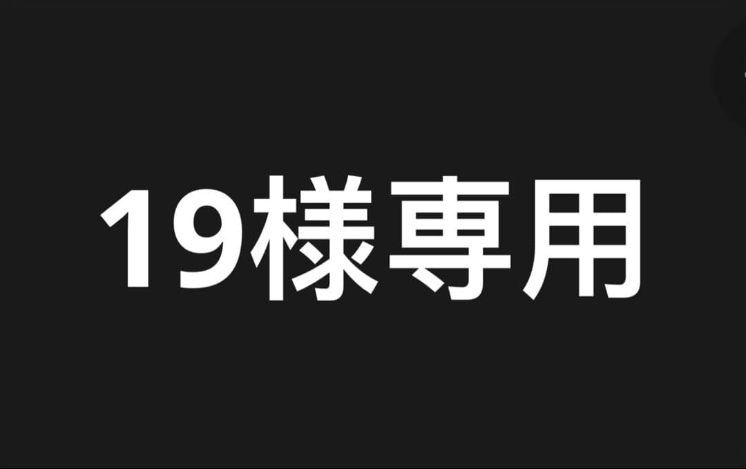バッグ 19