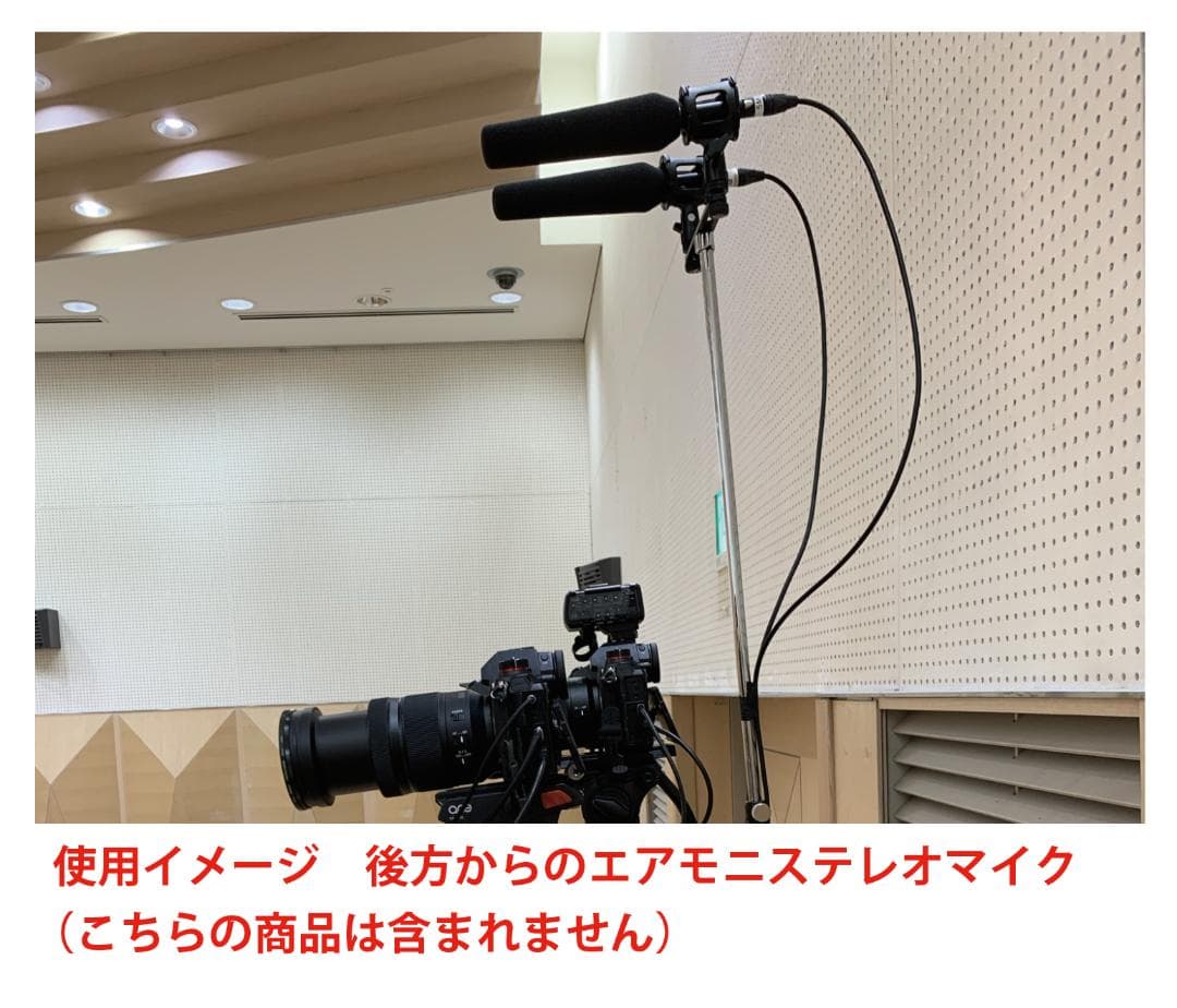 SYNCO D2ガンマイク2本セット