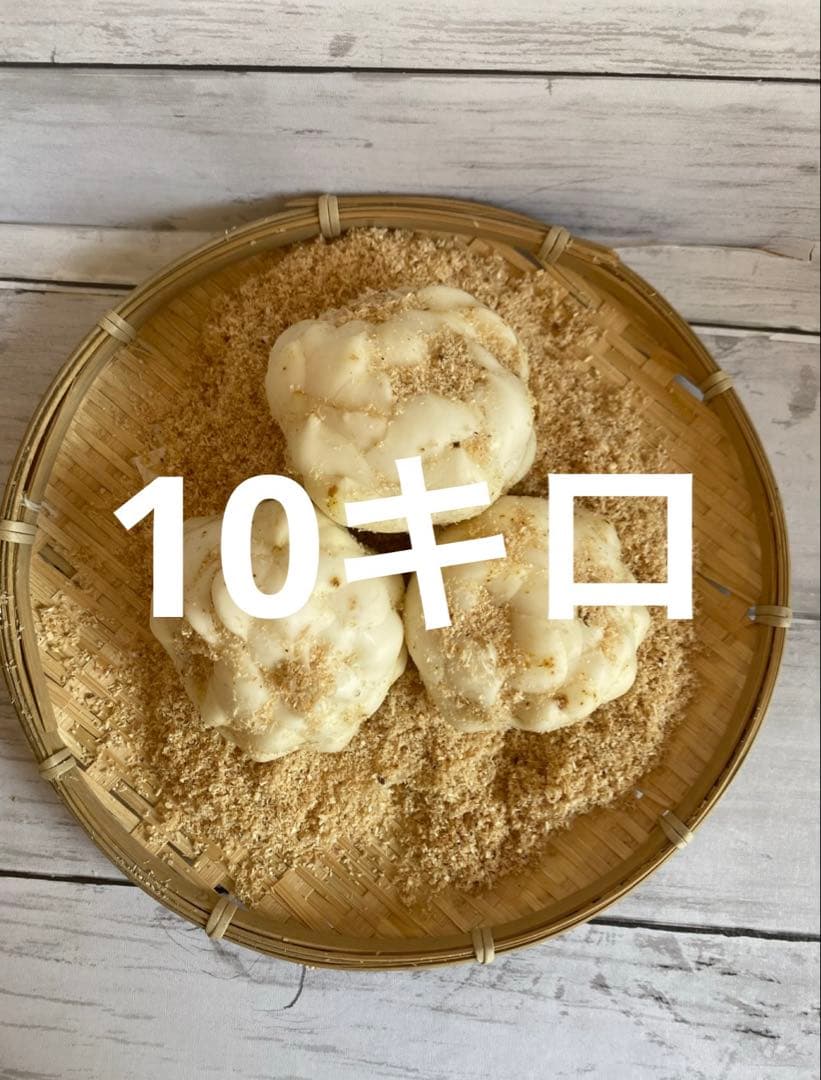 北海道十勝産規格外ゆり根10キロ