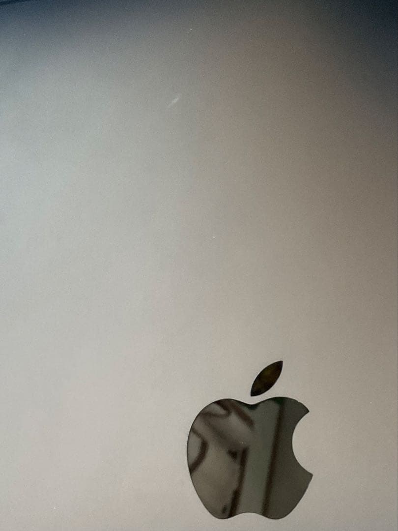 iPad Pro 2018 256GB 第3世代　Wi-Fiモデル　ジャンク品